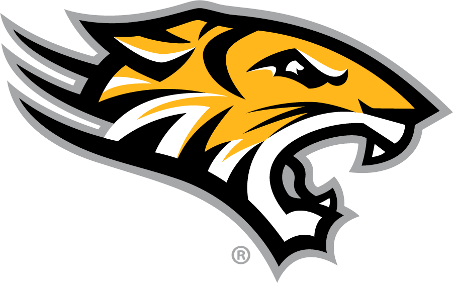Towson Tigers 2011-Pres Secondary Logo t shirts iron on transfers